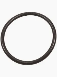 BENNET ACTUATOR UPPER HINGE O-RING A1120